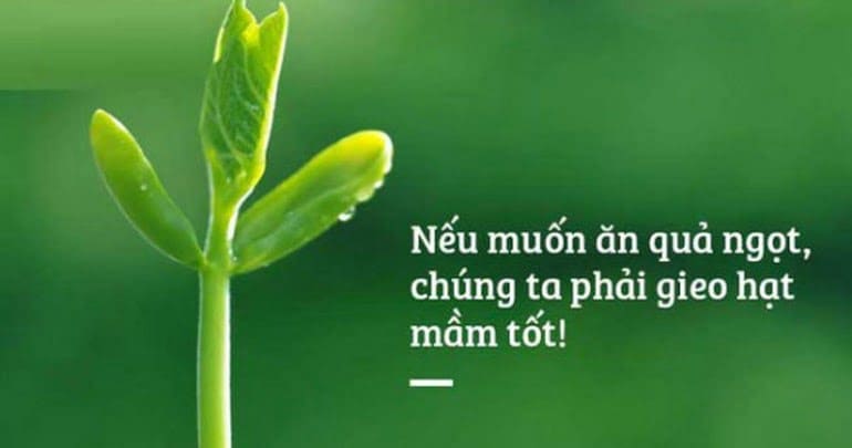 PHÚC ĐỨC CÓ PHẢI LÀ BIẾN THỂ CỦA THUYẾT LUÂN HỒI - NHÂN QUẢ